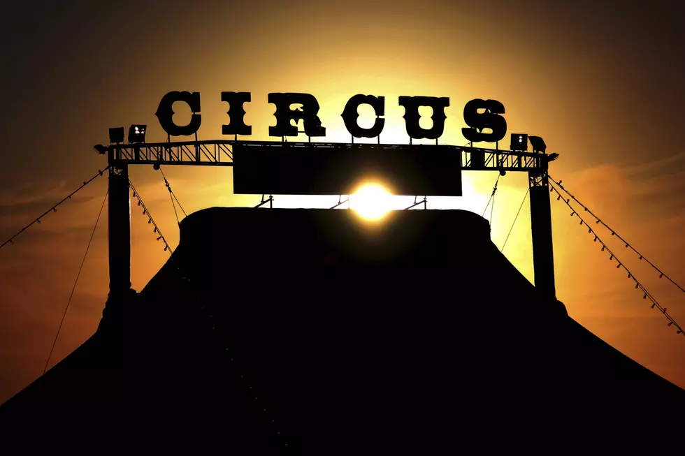 Exciting Family Circus Coming to Missoula in May
