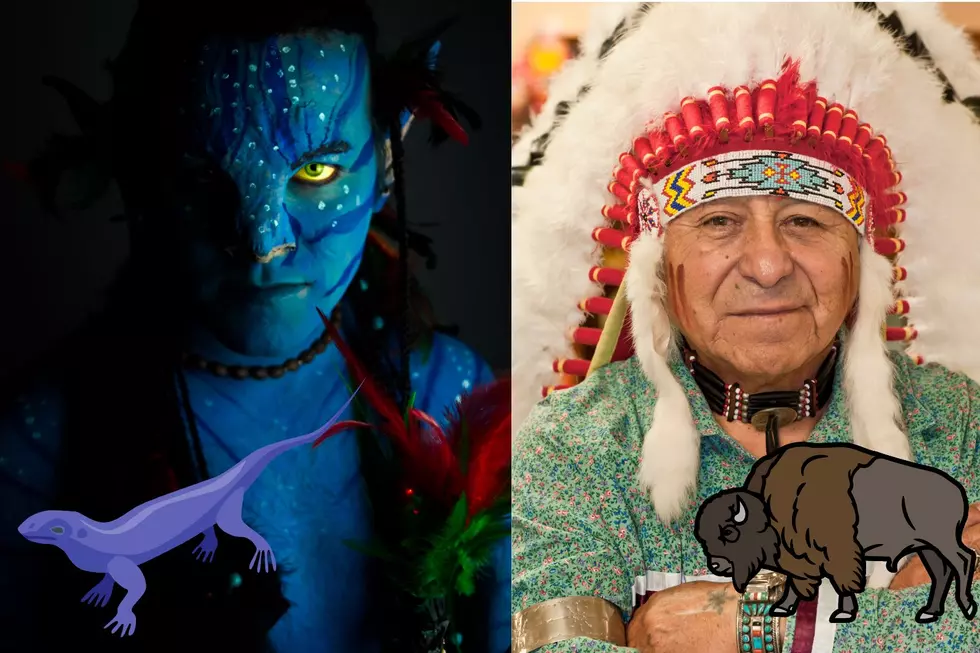 Change My Mind: Clearly Avatar is a Ripoff of Dances with Wolves