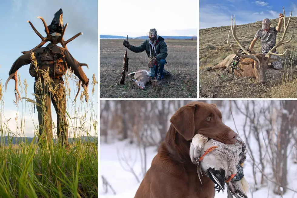 HORN PORN 2024: Montana’s Ultimate Virtual Bragging Board is Back!