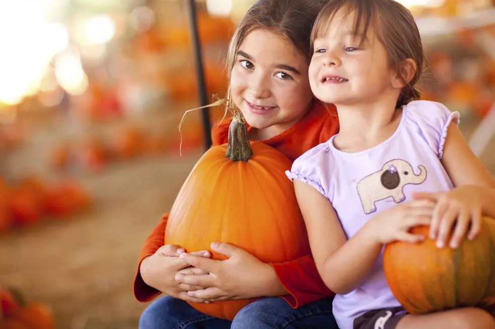 Missoula’s Turner Farms is Open for Fall Fun and Pumpkins
