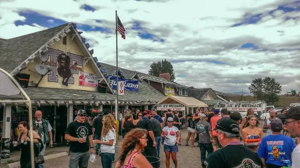 Criminal Activity at Testy Fest Declines, ‘Things Were Great’ Says Highway Patrol